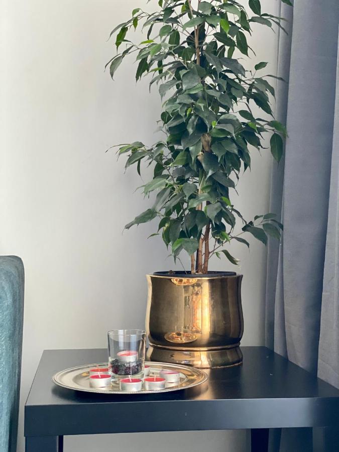 Apartament Z Widokiem Na Kazimierz/Forum Przestrzenie Apartment Krakow Bagian luar foto